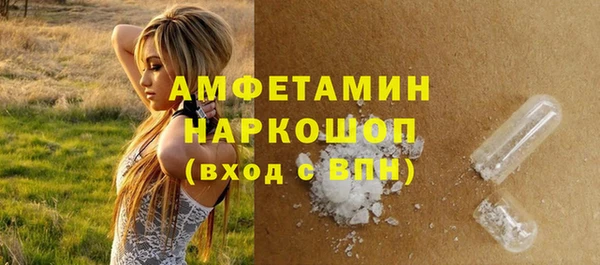 гашик Осинники