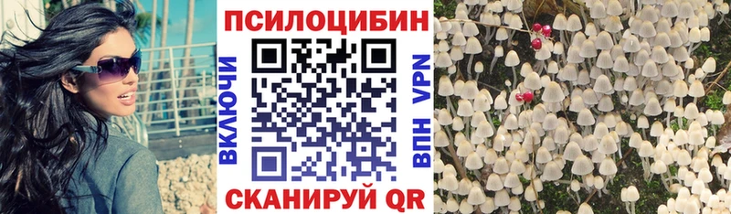 hydra как войти  Петровск-Забайкальский  Галлюциногенные грибы прущие грибы  купить наркоту 