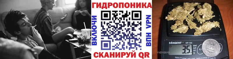 Шишки марихуана Bruce Banner  дарнет шоп  Петровск-Забайкальский 